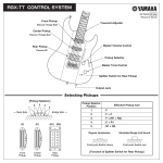 Yamaha RGX-TT Specification Sheet
