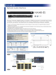 Yamaha NAI48-ES Data Sheet