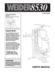 Weider WESY8530 User's Manual