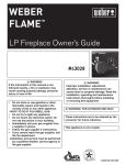 Weber FLAME #43028 User's Manual