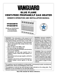 Vanguard Heating VP2000BTD User's Manual