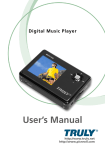 Truly electronic Mftg MP313X User's Manual