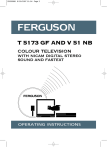 Technicolor - Thomson FERGUSON T 5173 GF User's Manual