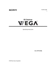 Sony WEGA KV-27FS100L User's Manual