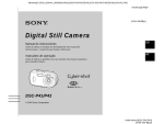Sony P43 User's Manual
