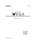 Sony KV-13FS100 User's Manual