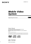 Sony DreamSystem MV-7101DS User's Manual
