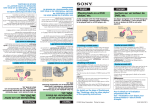 Sony DCR-DVD101 Brochure