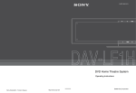 Sony DAVLF1H User's Manual