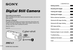 Sony Cyber-shot DSC-L1 User's Manual