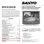 Sanyo DS31810 User's Manual