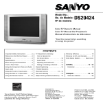 Sanyo DS20424 User's Manual