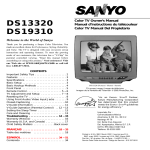 Sanyo DS19310 User's Manual