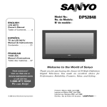 Sanyo DP52848 User's Manual