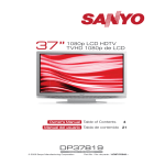 Sanyo DP37819 User's Manual