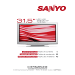 Sanyo DP32649 User's Manual