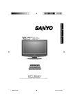 Sanyo DP19640 User's Manual