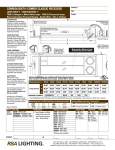 RSA Lighting C-100 User's Manual