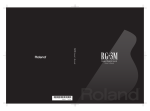 Roland RG-3M User's Manual