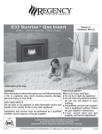 Regency Sunrise E33S User's Manual