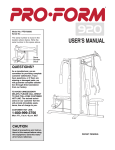 ProForm PFSY92080) User's Manual