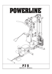 Powerline P2X User's Manual