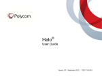 Polycom Work Light 1725-71140-001 User's Manual