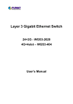 Planet Technology WGS3-2620 User's Manual