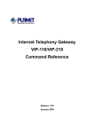 Planet Technology VIP-110 User's Manual