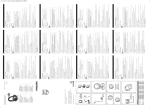 Philips SHC8555 User's Manual