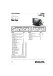 Philips L06.1E AA User's Manual