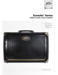 Peavey E208 User's Manual