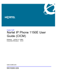 Nortel Networks NN10300-025 User's Manual