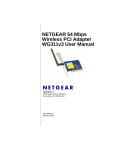 Netgear WG311v3 Reference Manual
