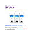 Netgear WG302v1 Application Note