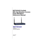 Netgear PROSAFE WG302v2 User's Manual