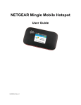 Netgear 778S User Guide