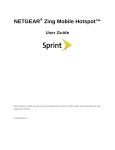 Netgear 771S User Guide