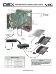 NEC DSX-80 User's Manual