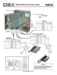 NEC DSX-160 User's Manual