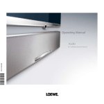 Loewe Individual Sound Projector User's Manual