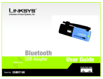 Linksys USBBT100 User's Manual