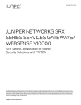 Juniper Networks V10000 User's Manual