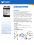 Juniper Networks MX960 User's Manual