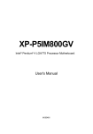 Intel XP-P5IM800GV User's Manual