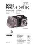 Giant P200A-5100 User's Manual