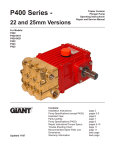 Giant P420-0021 User's Manual
