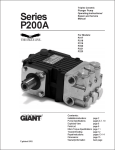 Giant P200A User's Manual