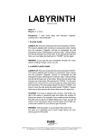 Fundex Games Labyrinth User's Manual