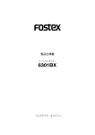 Fostex 6301BX User's Manual